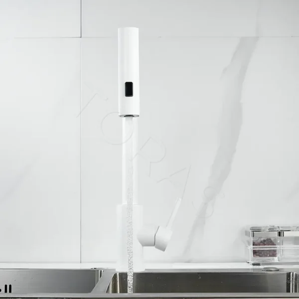 Смеситель для кухни с выдвижным изливом Shevanik S263C