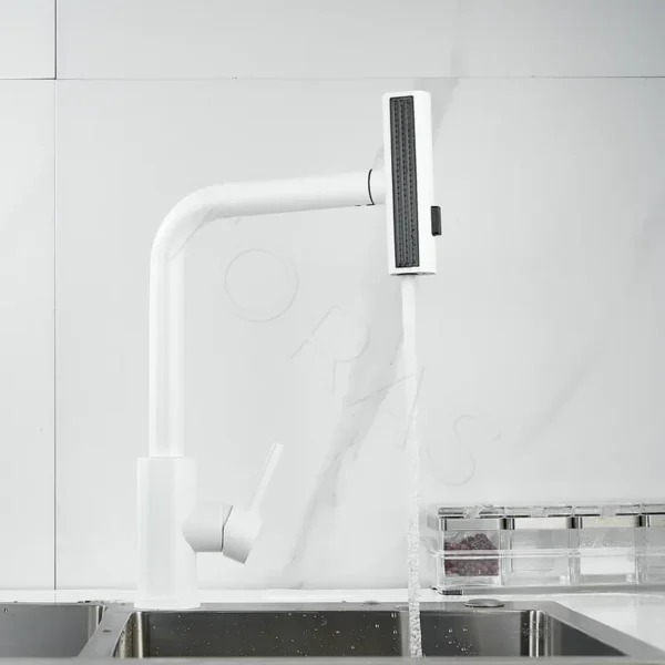 Смеситель для кухни с выдвижным изливом Shevanik S263C