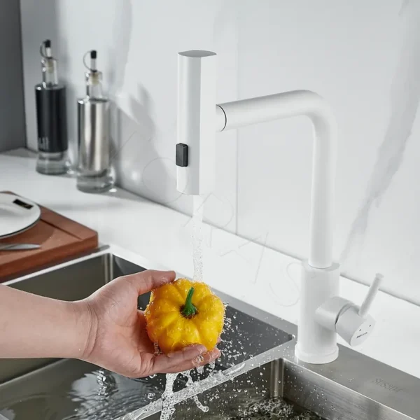 Смеситель для кухни с выдвижным изливом Shevanik S263C