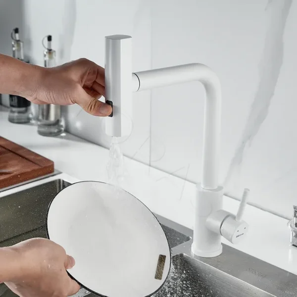 Смеситель для кухни с выдвижным изливом Shevanik S263C