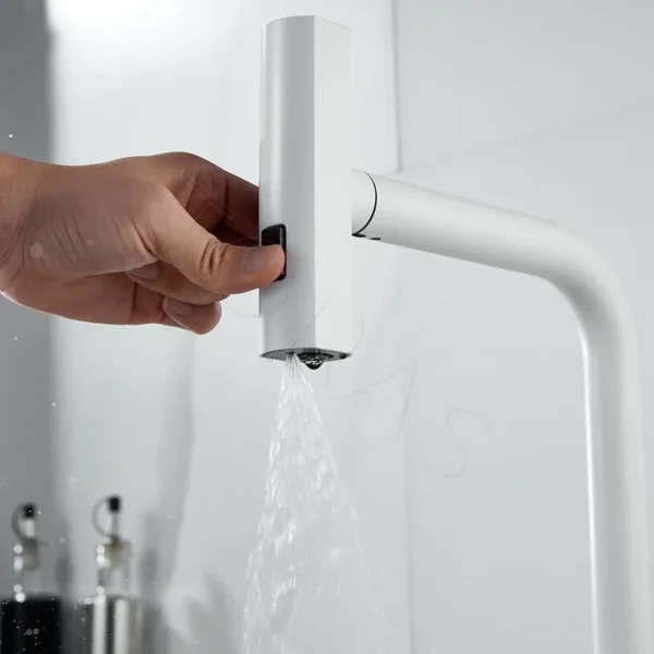 Смеситель для кухни с выдвижным изливом Shevanik S263C