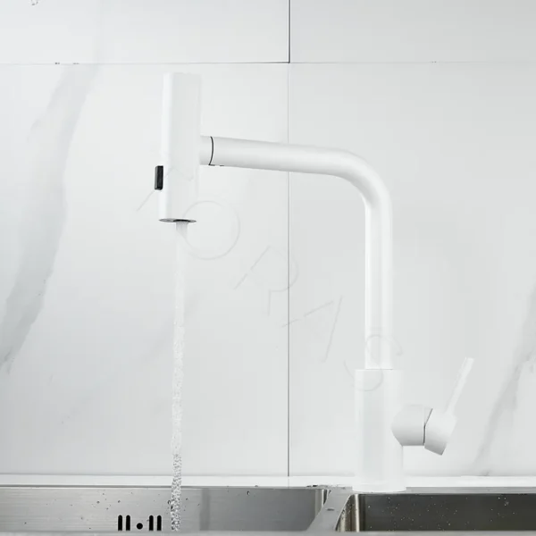 Смеситель для кухни с выдвижным изливом Shevanik S263C