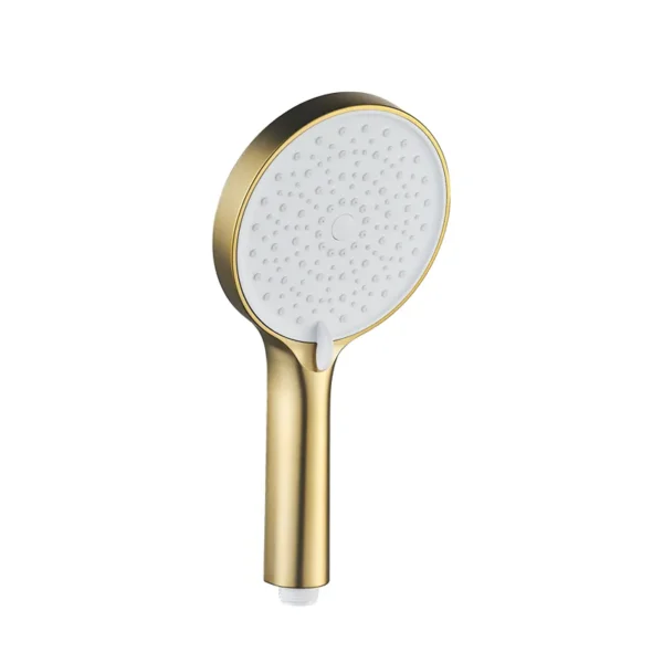 Душевая лейка Shevanik SH43G-1