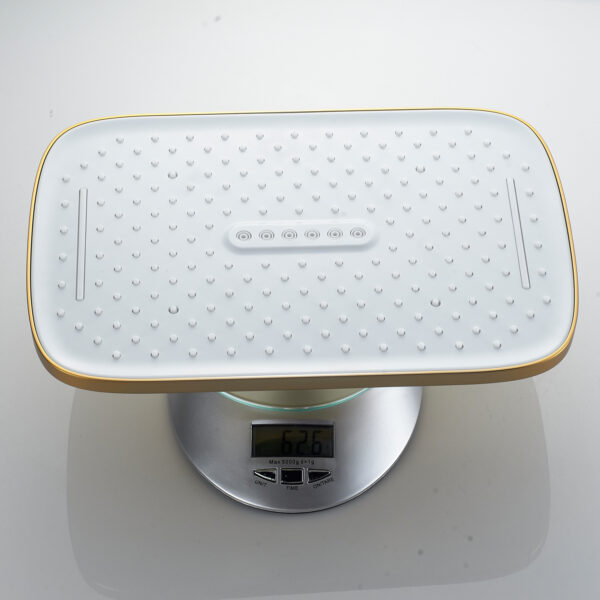 Душевая лейка Shevanik SH40G-1