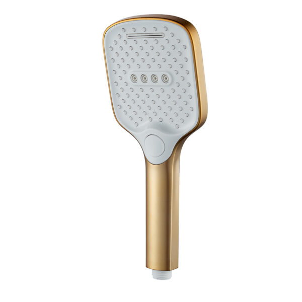 Душевая лейка Shevanik SH40G-1