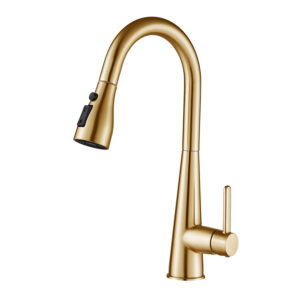 Смеситель для кухни с выдвижным изливом Shevanik S363G